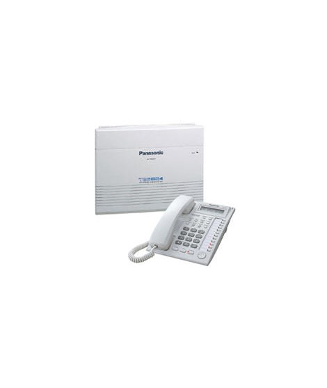 PANASONIC TEM824